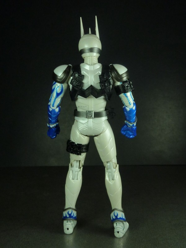 S.H.フィギュアーツ 仮面ライダーエターナル : グレスケワールド