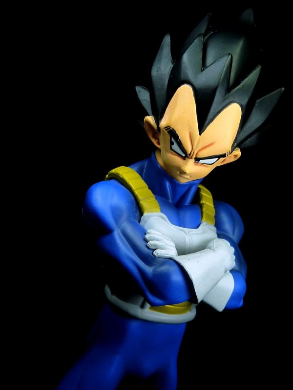 ドラゴンボール　造形天下一武道会　ベジータ　フィギュア Amazon.co.jp: SCultures BIG 造形天下一武道会5 －共－其之五