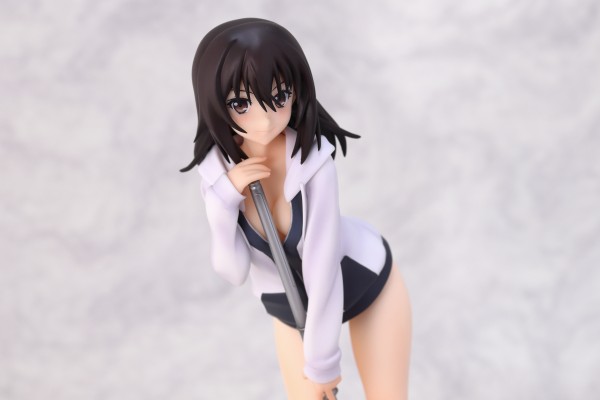 ストライク・ザ・ブラッド 姫柊雪菜 アルター : greenbell25のblog