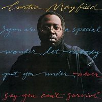 Never Say You Can't Survive / Curtis Mayfield : FUNK OF AGES