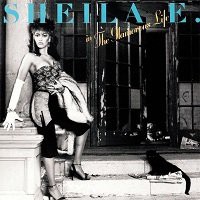 In The Glamorous Life / Sheila E. : FUNK OF AGES