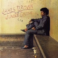 In The Jungle Groove/James Brown : FUNK OF AGES