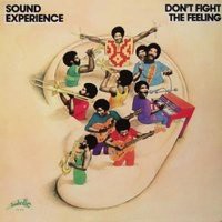 Don't Fight The Feeling / Sound Experience : FUNK OF AGES