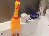 うちの蛇口にこのチキンを取り付けたら大変なことになったｗｗ 投稿動画が反響 銃とバッジは置いていけ