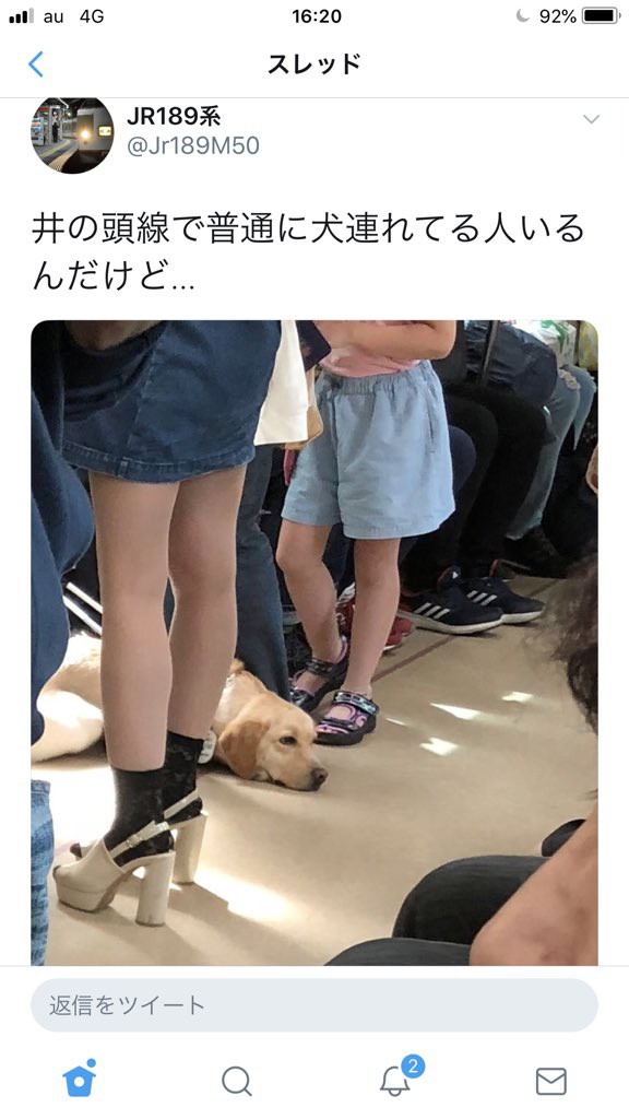 中学生が電車内で盲導犬を撮影し 井の頭線で普通に犬連れてる人いるんだけど ツイートで炎上中ｗｗ 銃とバッジは置いていけ