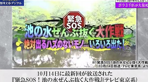 池の水ぜんぶ抜く 長崎ロケでボラ３０００匹が大量死 証拠写真を入手 銃とバッジは置いていけ