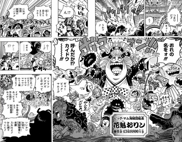 One Piece 98巻 感想 カイドウが望む在り方 サンジ60歳 アニメと漫画と 連邦 こっそり日記