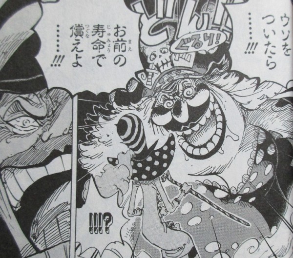 ワンピース 87巻 感想 ビッグマム海賊団 猛攻 四大将の女体化 アニメと漫画と 連邦 こっそり日記