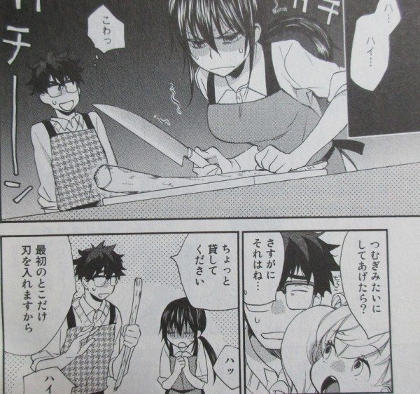 甘々と稲妻 4巻 感想 小鳥の挑戦 ばんそうこう の秘密 アニメと漫画と 連邦 こっそり日記