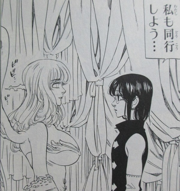 七つの大罪 25巻 感想 三千年前 追体験 女神族は皆様ご想像の通り 鈴木 央 アニメと漫画と 連邦 こっそり日記