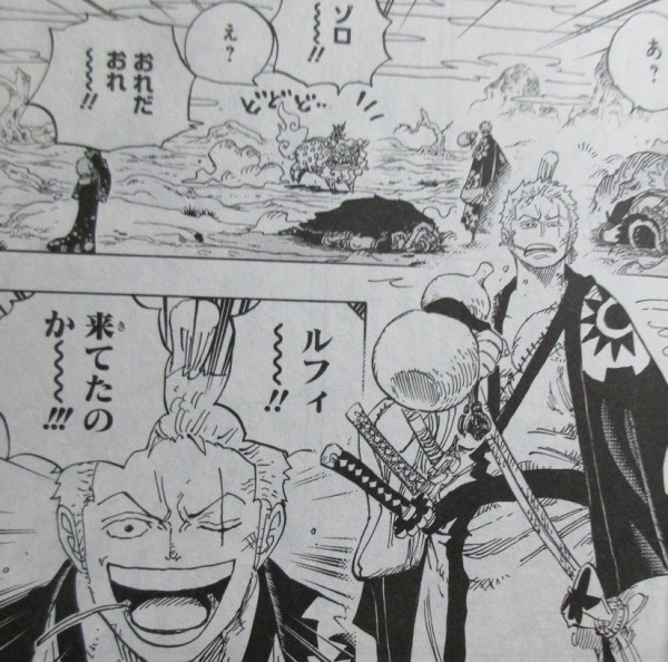 One Piece 91巻 感想 ワノ国編 ゾロ40歳そこが増えるの アニメと漫画と 連邦 こっそり日記