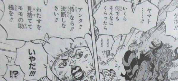 One Piece 99巻 感想 Dと夜明け Vsダブル四皇 アニメと漫画と 連邦 こっそり日記