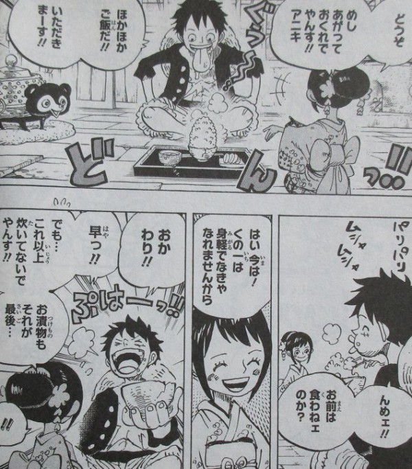 One Piece 91巻 感想 ワノ国編 ゾロ40歳そこが増えるの アニメと漫画と 連邦 こっそり日記