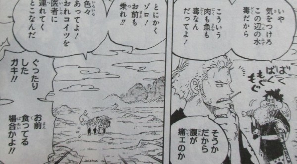 One Piece 91巻 感想 ワノ国編 ゾロ40歳そこが増えるの アニメと漫画と 連邦 こっそり日記