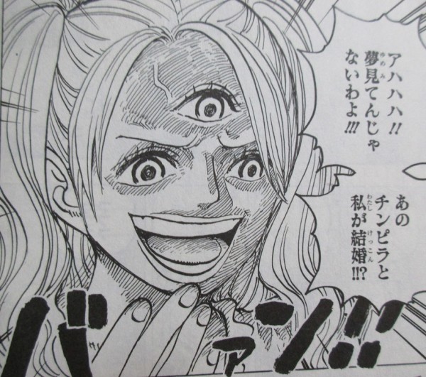 ワンピース One Piece 85巻 感想 プリンの真意 海賊団 50m走最速は誰だ アニメと漫画と 連邦 こっそり日記