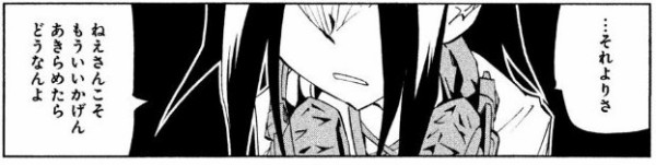 シャーマンキングzero 1巻 感想 五年前の葉の本音 アニメと漫画と 連邦 こっそり日記