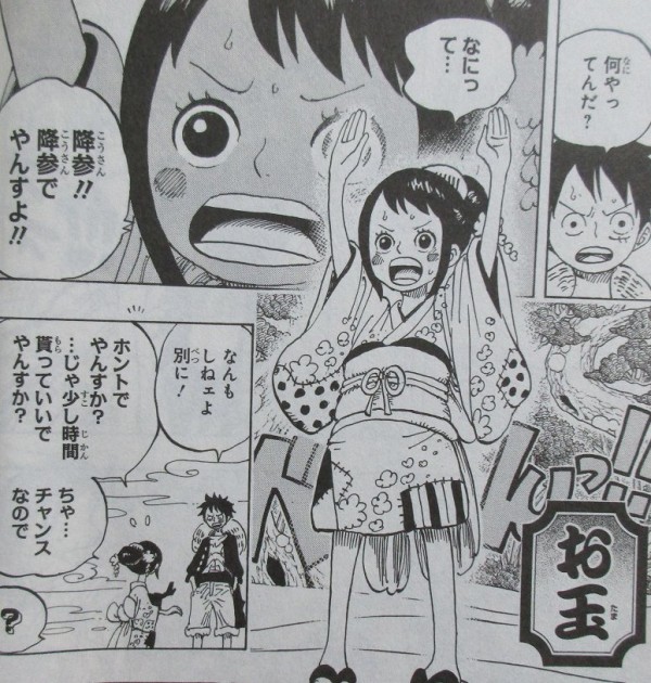 One Piece 91巻 感想 ワノ国編 ゾロ40歳そこが増えるの アニメと漫画と 連邦 こっそり日記