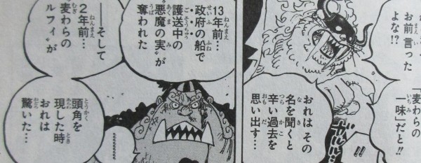 One Piece 101巻 感想 ゴムゴムの秘密 フランキー70歳 アニメと漫画と 連邦 こっそり日記