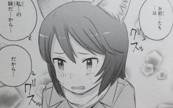 放課後 アサルト ガールズ 6巻 感想 町の覚悟 救出作戦と住人たち 高田慎一郎 アニメと漫画と 連邦 こっそり日記