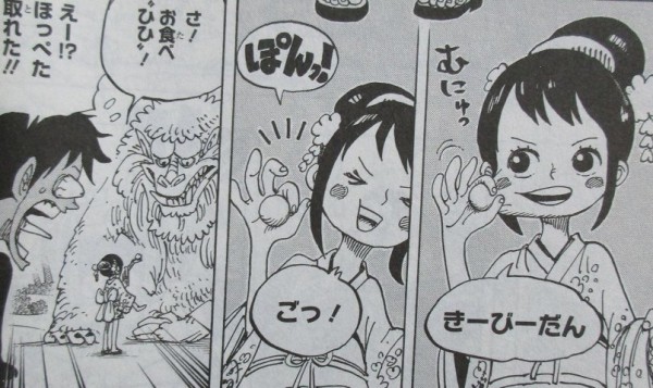 One Piece 91巻 感想 ワノ国編 ゾロ40歳そこが増えるの アニメと漫画と 連邦 こっそり日記