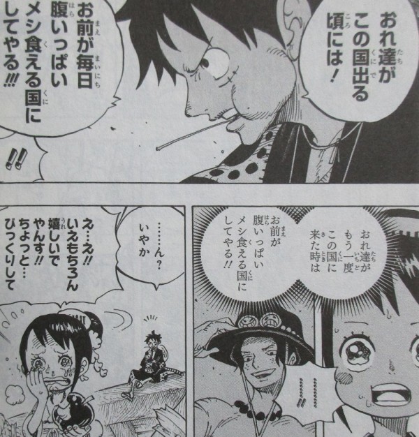 One Piece 91巻 感想 ワノ国編 ゾロ40歳そこが増えるの アニメと漫画と 連邦 こっそり日記