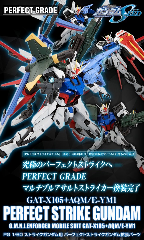 Pg用 パーフェクトストライクガンダム拡張パーツ プレバン 背負い物とマーキング を単品販売 ガンダムseed アニメと漫画と 連邦 こっそり日記