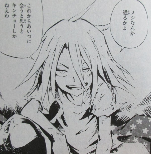 Shaman King The Super Star 1巻 感想 三代目イタコのアンナ 霊能バトル再び 武井宏之 アニメと漫画と 連邦 こっそり日記