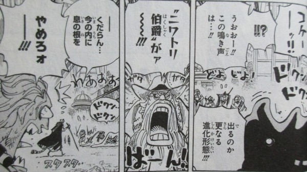 ワンピース One Piece 85巻 感想 プリンの真意 海賊団 50m走最速は誰だ アニメと漫画と 連邦 こっそり日記