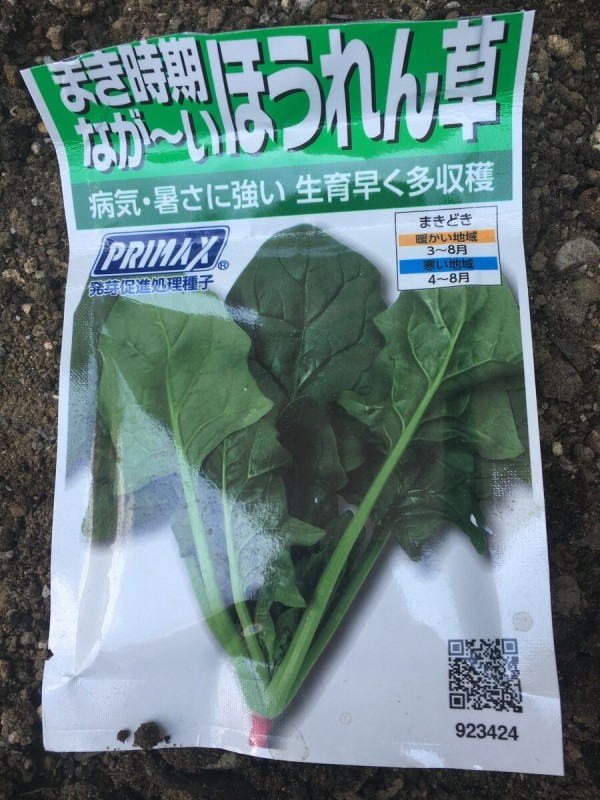 買い誠実 00923300 サカタのタネ ツケナ 実咲野菜3300 オータムポエムアスパラ菜 香味、薬味