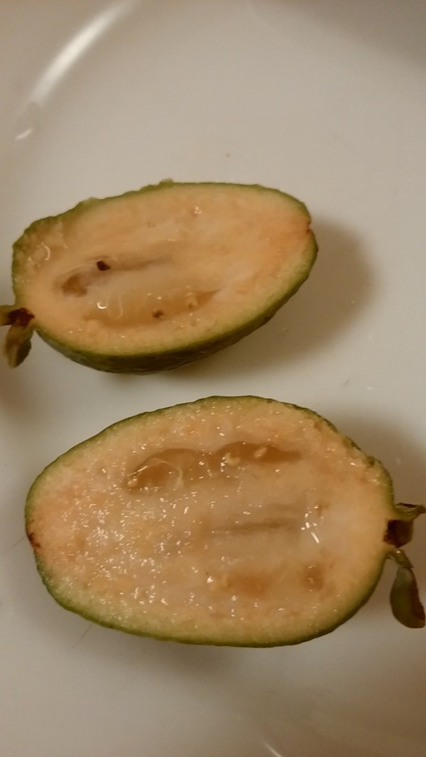 今年のフェイジョアの味は Guuのひとりダッシュ村ごっこ