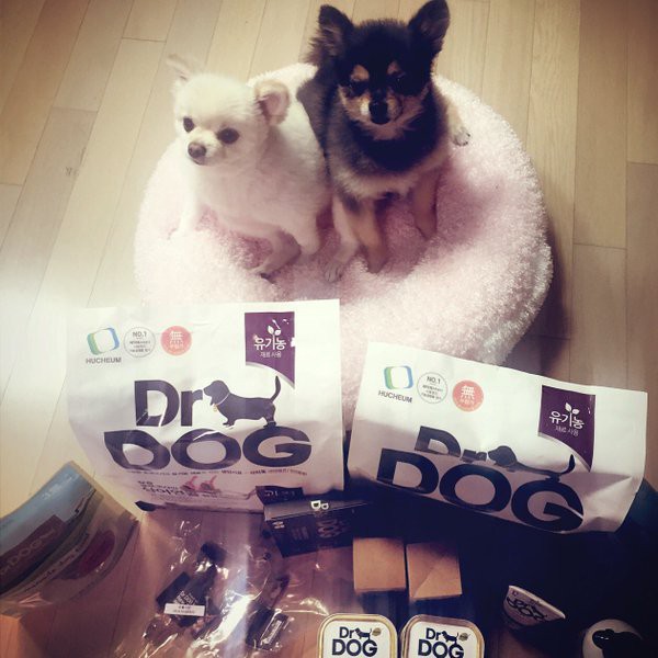 俺も犬 ぐわぐわの韓流まっしぐら