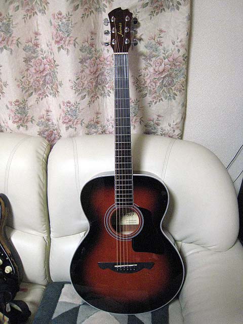 My Guitarその19 James JF400/WSB : ギはギターのギっ！2