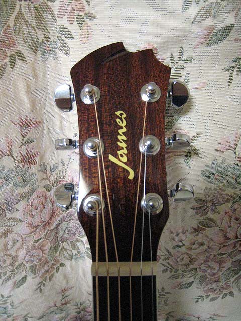 My Guitarその19 James JF400/WSB : ギはギターのギっ！2