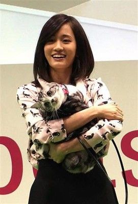 前田敦子 アメリカンショートヘアの愛猫ポッツを披露 顔がすごく