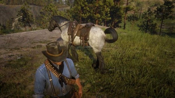 Rdr2 全人類に知ってほしい レッド デッド リデンプション2 の 異常すぎる作り込み まとめ Rdr2攻略情報局