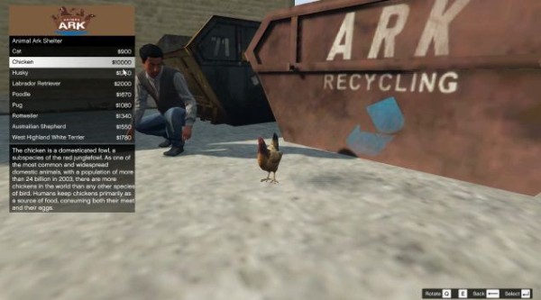 Gta5 Pc版 ペットショップ開店mod Animal Ark Shelter 登場 グランド セフト オート5写真大好きブログ Gta5攻略情報ほか