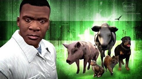 Gta5 フランクリン が動物 魚 鳥に変身した時の台詞一覧 動画あり グランド セフト オート5写真大好きブログ Gta5攻略情報ほか