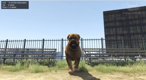 Gta5 ペヨーテで変身できる動物の種類一覧 Ps4 Xboxone版 グランド セフト オート5写真大好きブログ Gta5攻略情報ほか