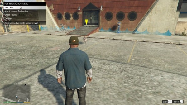 Gta5 Pc版 ペットショップ開店mod Animal Ark Shelter 登場 グランド セフト オート5写真大好きブログ Gta5攻略情報ほか Gta5 Pc版 ペットショップ開店mod Animal Ark Shelter 登場 グランド セフト オート5写真大好きブログ Gta5攻略情報ほか