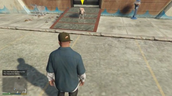 Gta5 Pc版 ペットショップ開店mod Animal Ark Shelter 登場 グランド セフト オート5写真大好きブログ Gta5攻略情報ほか Gta5 Pc版 ペットショップ開店mod Animal Ark Shelter 登場 グランド セフト オート5写真大好きブログ Gta5攻略情報ほか
