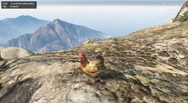 Ps4 Xboxone版 Gta5 で動物になる方法 ペヨーテがある場所 グランド セフト オート5写真大好きブログ Gta5攻略情報ほか