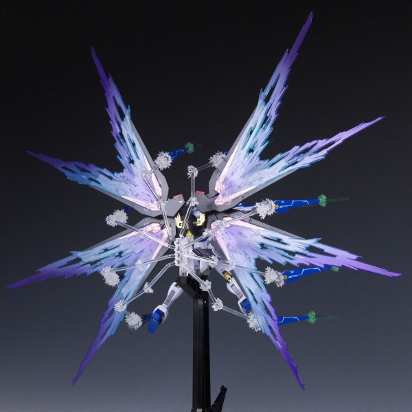 METAL ROBOT魂 ストライクフリーダムガンダム[Re:Coordinate]専用 光の