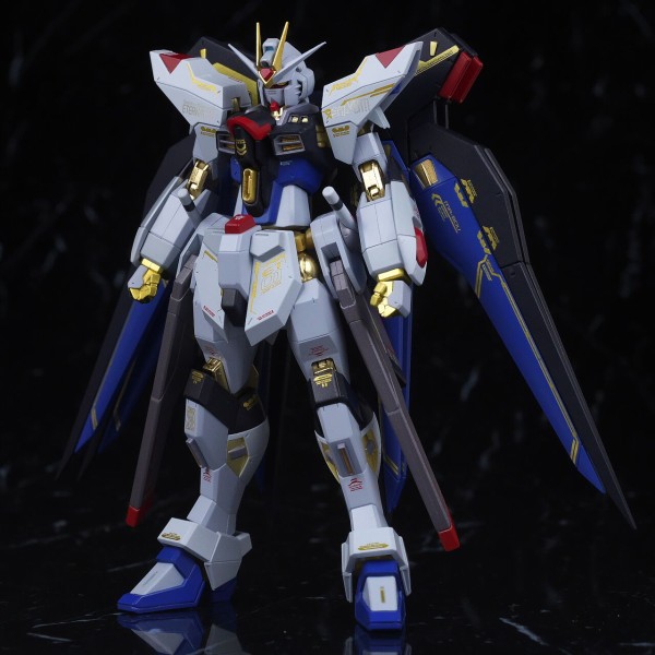 L ROBOT魂 ストライクフリーダムガンダム 20th ver. METAL ROBOT魂 ＜SIDE MS＞ ストライクフリーダムガンダム 20th