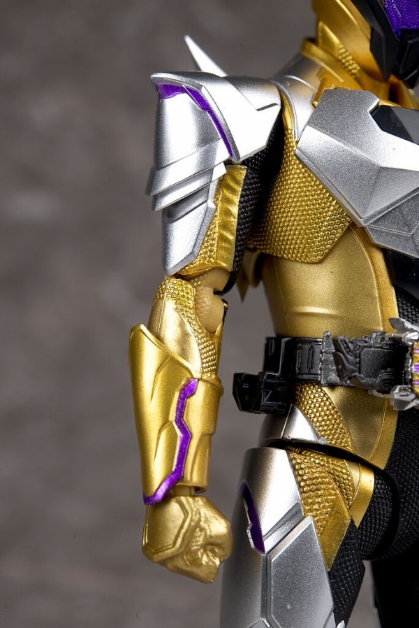 フィギュアーツ 　仮面ライダーサウザー 中身確認開封のみ フィギュアーツ 仮面ライダーサウザー 中身確認開封のみ