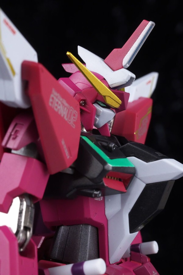 METAL ROBOT魂 インフィニットジャスティスガンダム 20th Anniversary