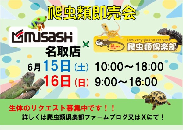 ムサシ名取イベント