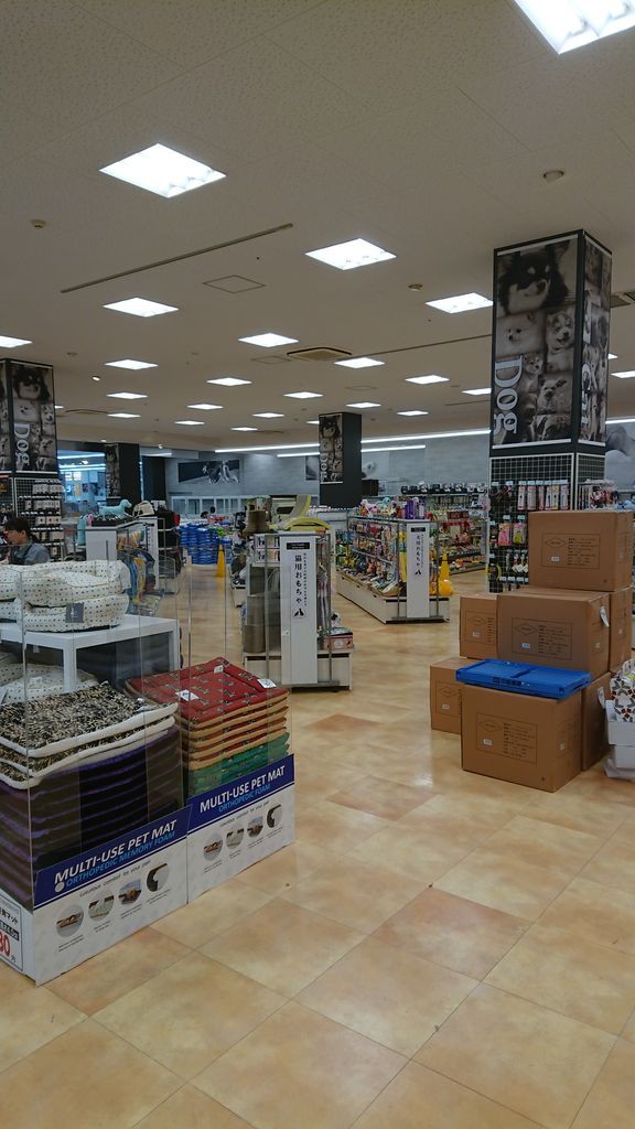 ホームセンタームサシ ニコペット京都八幡店 爬虫類コーナー新設 爬虫類倶楽部ファームブログ