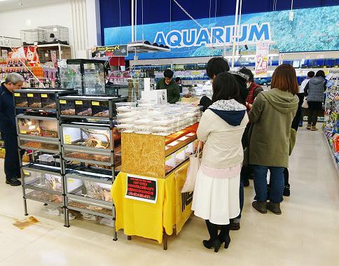 初開催地 チョくらinジャンボエンチョー掛川店 リクエスト募集 爬虫類倶楽部ファームブログ