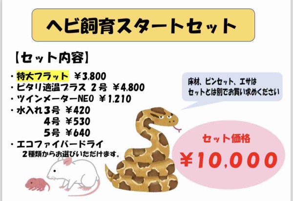 今年は巳年！ヘビ特化キャンペーン開催！！ : 爬虫類倶楽部