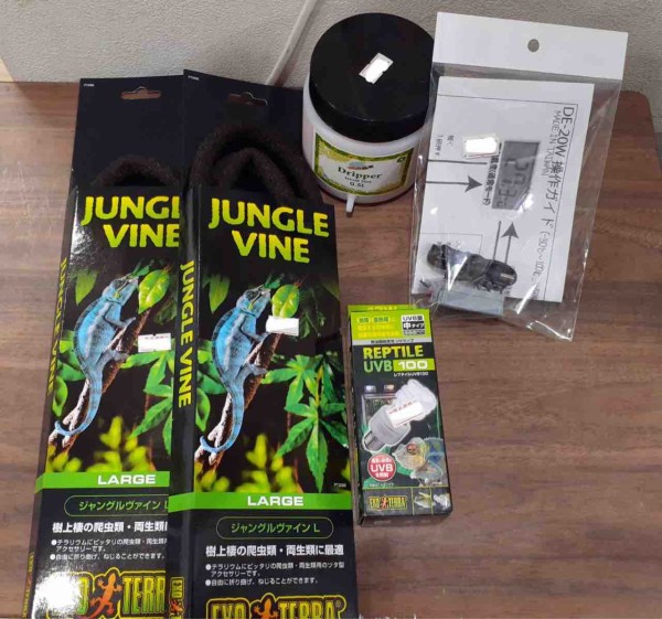 初心者の方大歓迎！！4月限定キャンペーンのお知らせ！！ : 爬虫類倶楽部